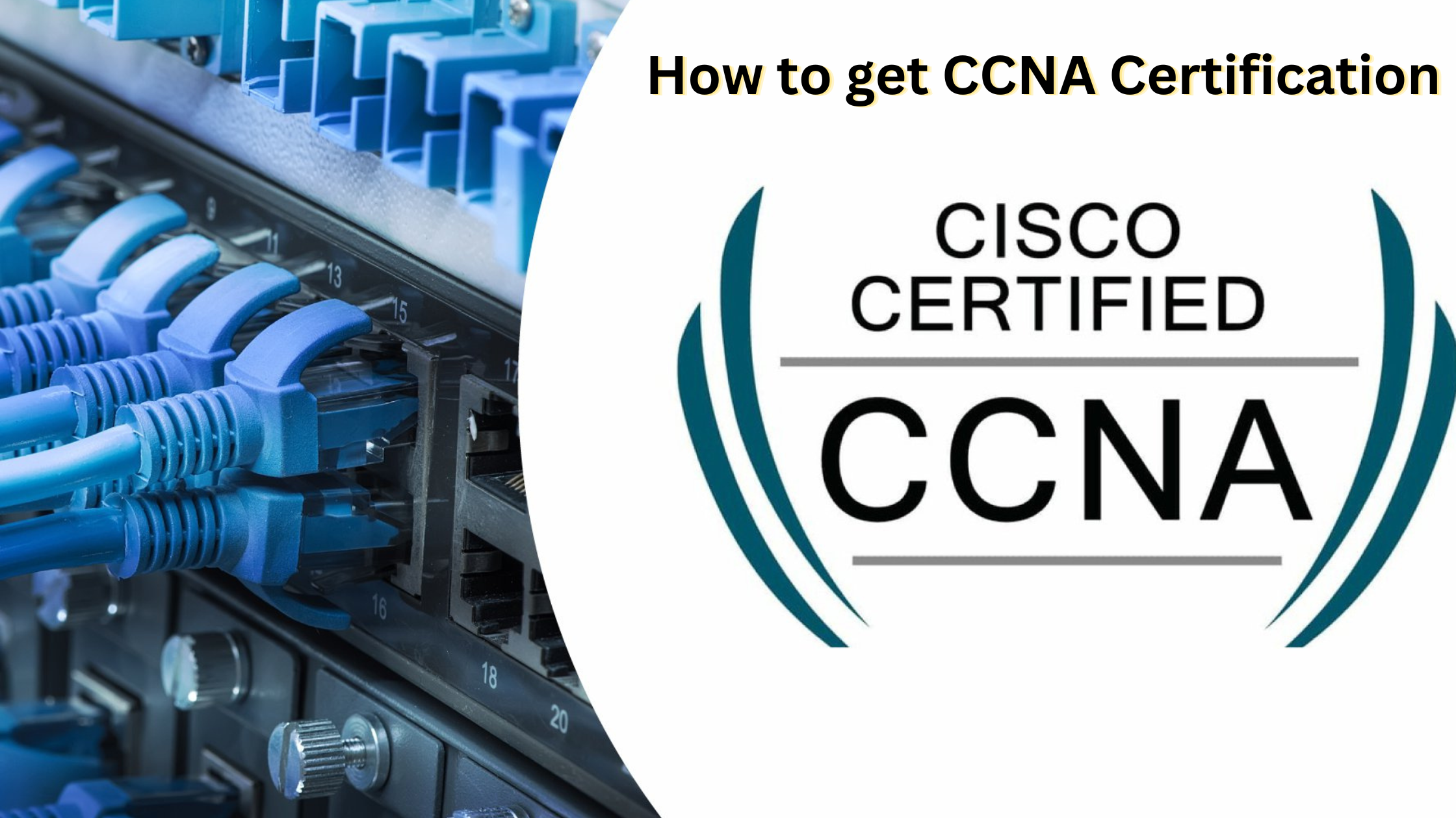 ccna certification free online training